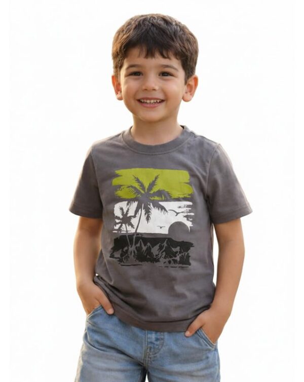 Kids Cotton T-Shirt for Boys(Gray)