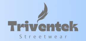 TRIVENTEK SOLUTIONS PRIVATE LIMITED