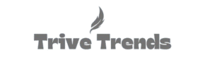 TRIVENTEK SOLUTIONS PRIVATE LIMITED